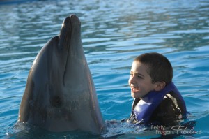 cabo dolphin encounter