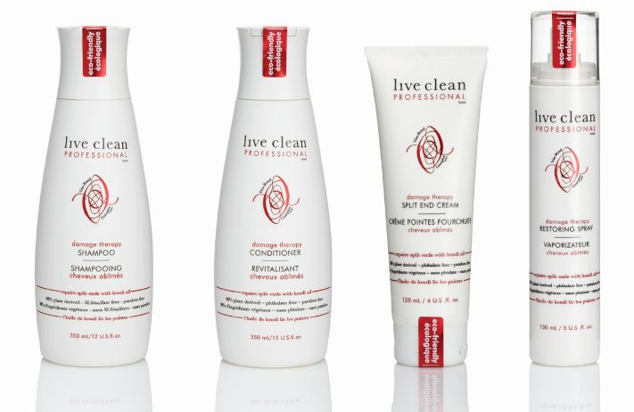 Live Clean Professional Damage Therapy