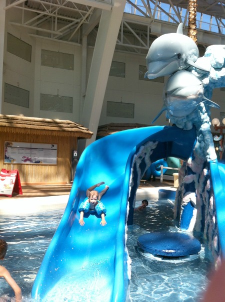 Dolphin Kiddie Pool West Edmonton Mall Waterpark